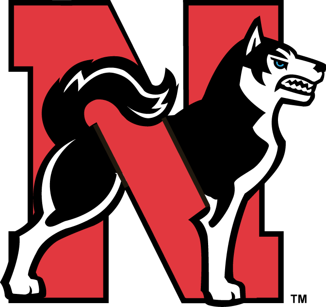 Northeastern Huskies 2001-2006 Alternate Logo 03 iron on paper